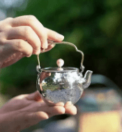 HCZW Ruochén Retro Lift-handle Silver Pot - Davinci Flower