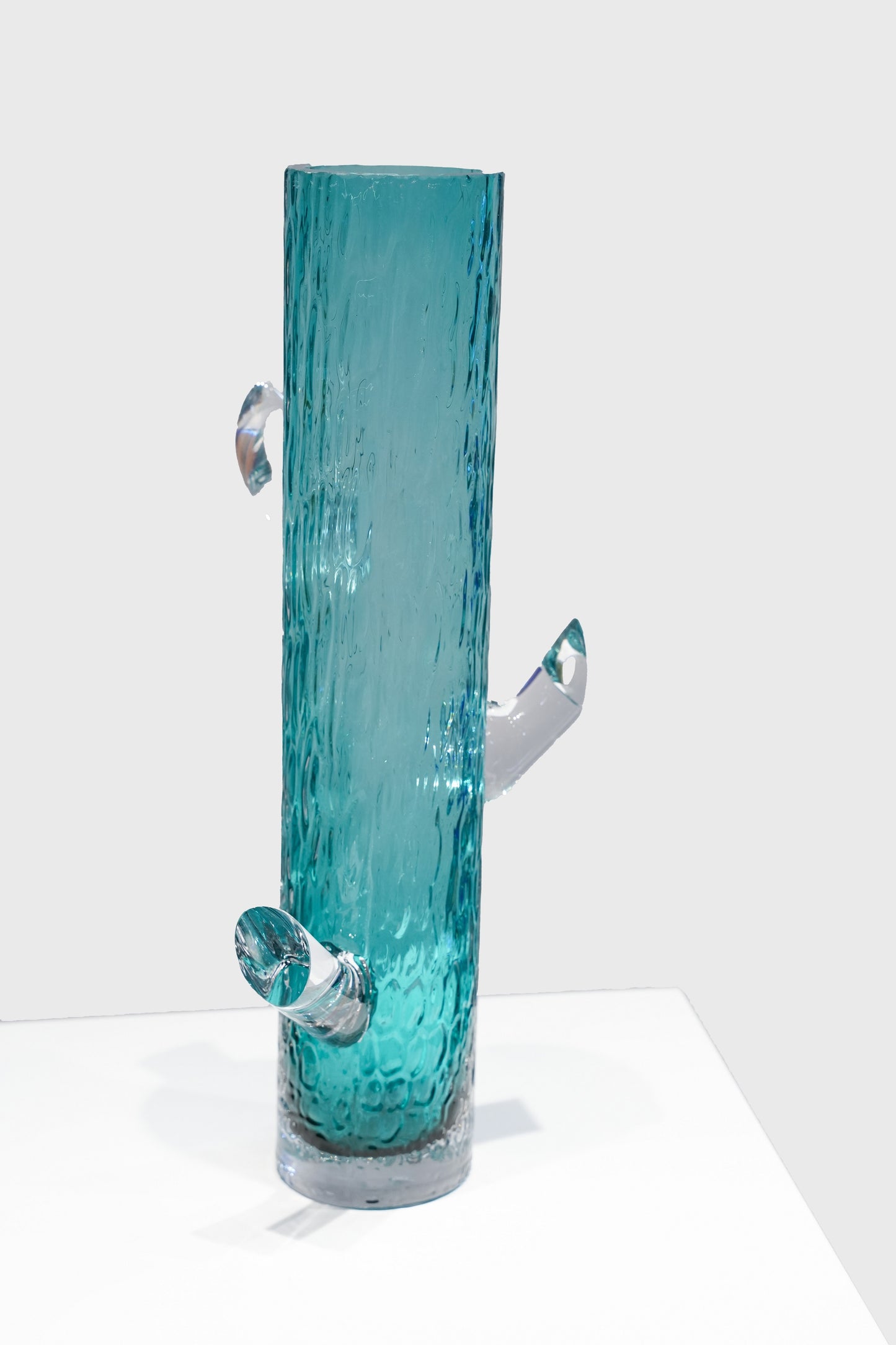 Minimalist Straight Cylinder Branch Glass Vase - Davinci Flower