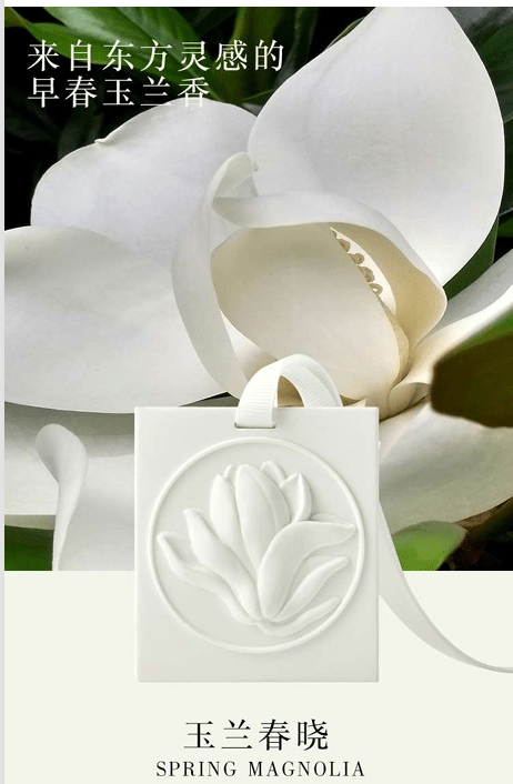 Magnolia at Spring Dawn - Davinci Flower