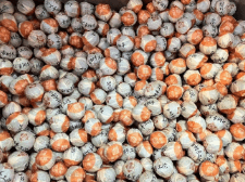 White Peony Tuo Tea - Davinci Flower