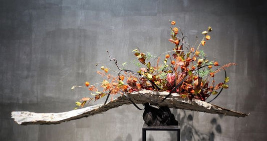 The Best Flowers for Plainview Gardens: Create Your Dream Floral Oasis