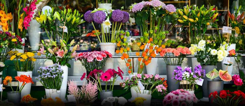Why Local Florists in Plainview, NY Are the Best Choice for Fresh Flowers