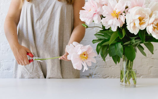 Flower Care Tips: How to Keep Your Flowers Fresh Longer in Plainview, NY