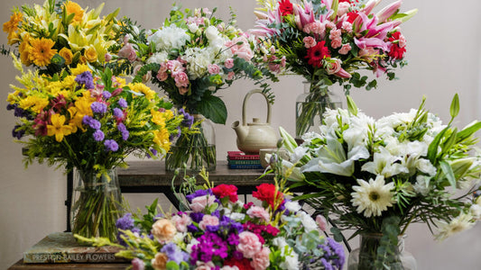 Flowers: Nature’s Gift of Color and Emotion