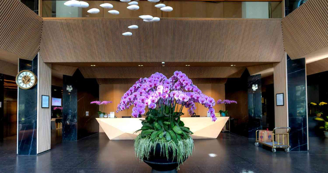 Transform Your Space with Luxury Floral Design Services in Plainview and Surrounding Areas