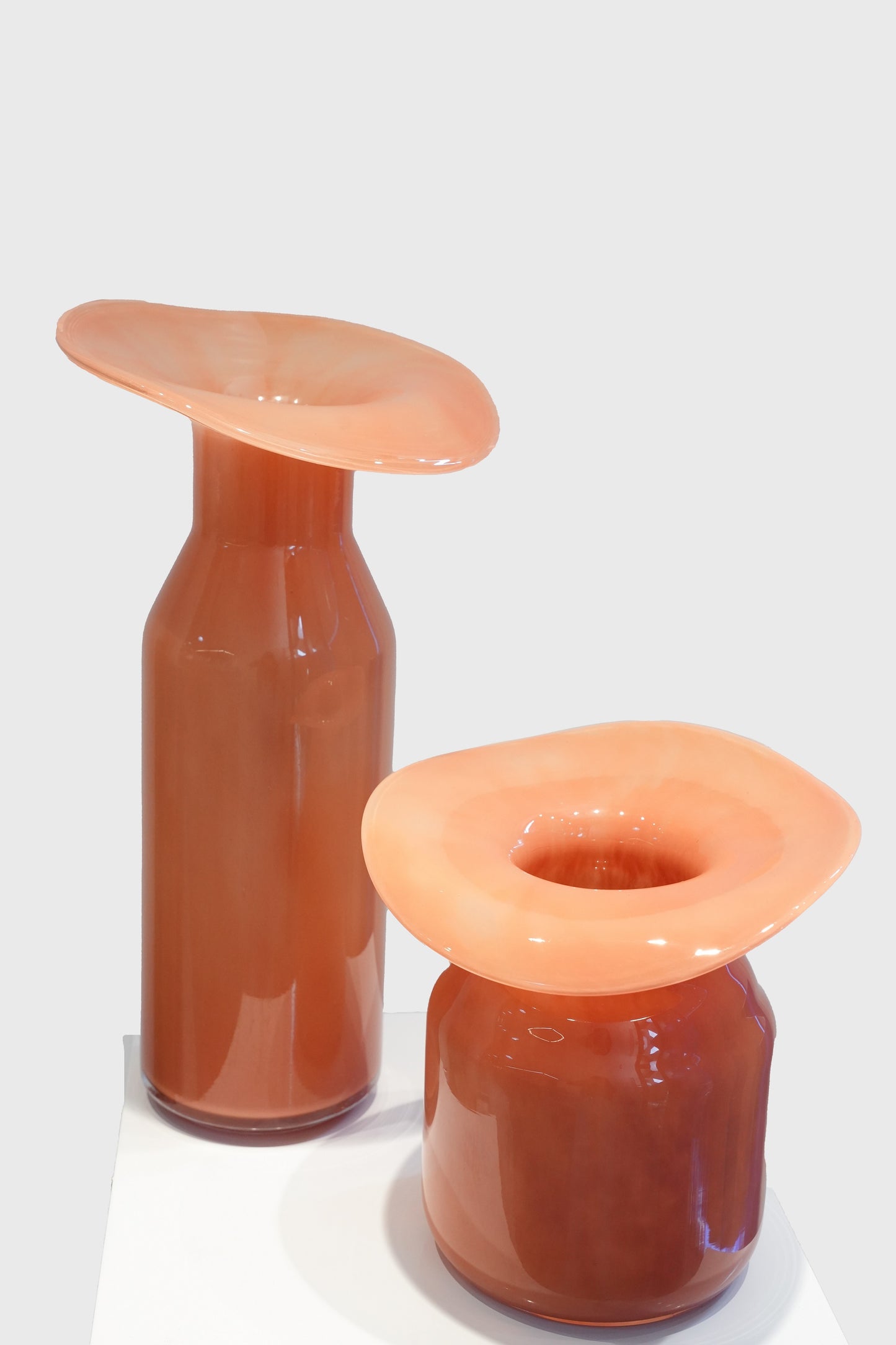 Gradient Wide-Mouth Glass Vase