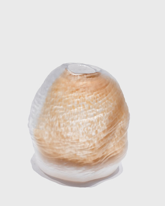 Frosted Narrow-Mouth Glass Vase