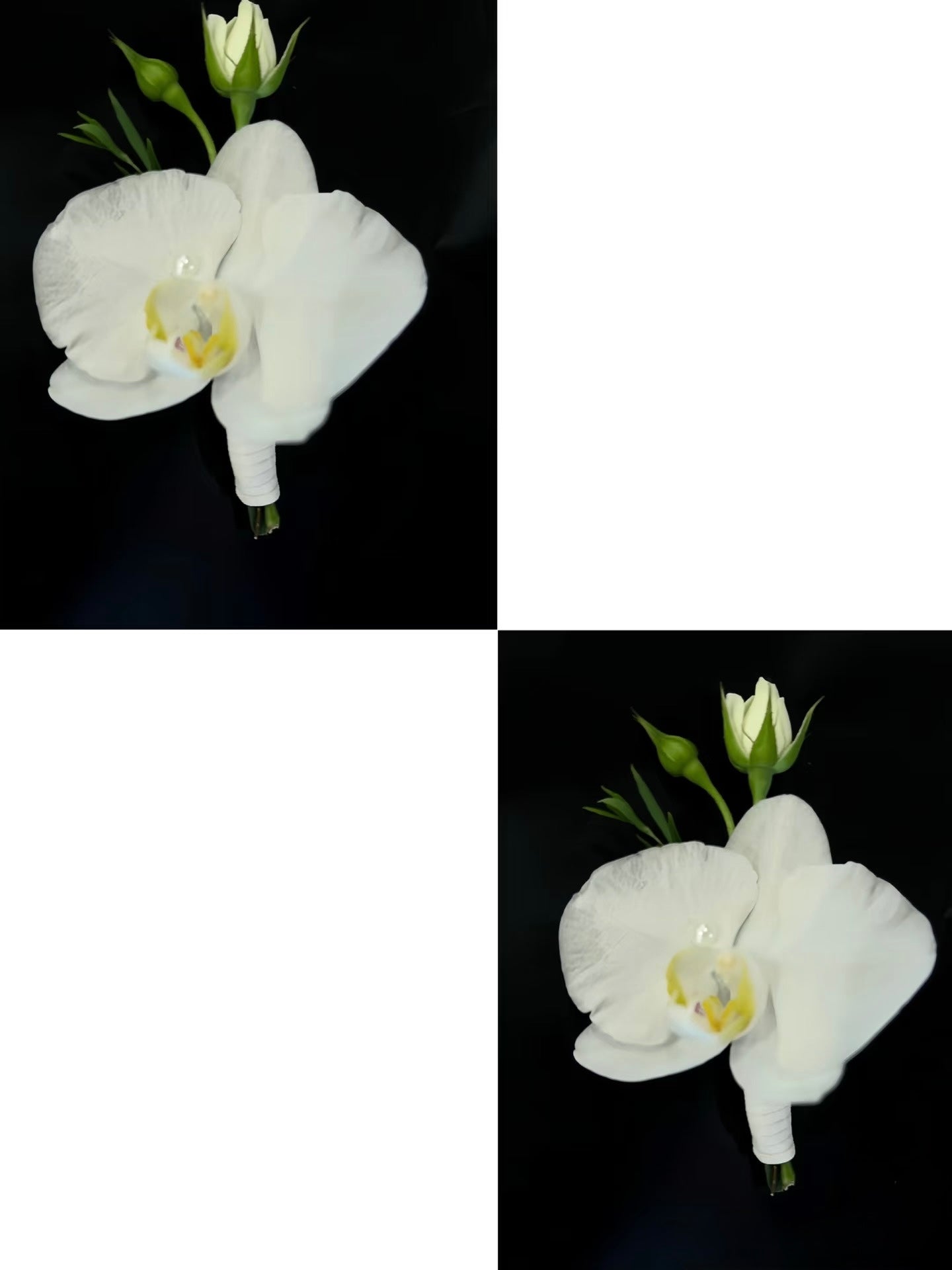 Graduation Orchid Boutonnière