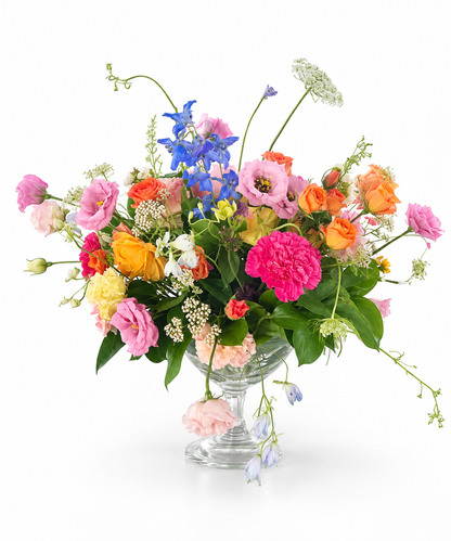 Blush& Bloom
