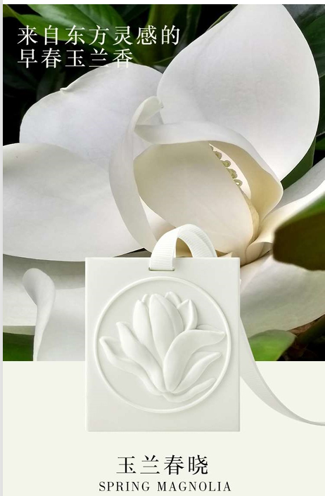 Magnolia at Spring Dawn