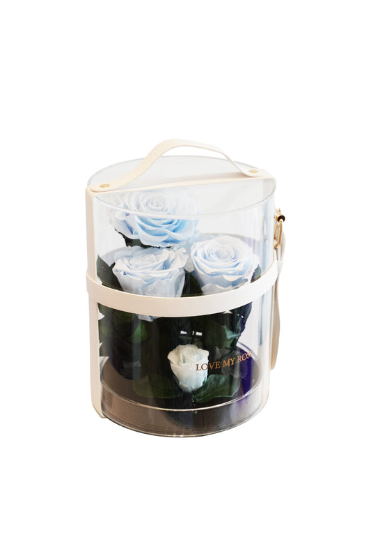 Round Basket (Blue)