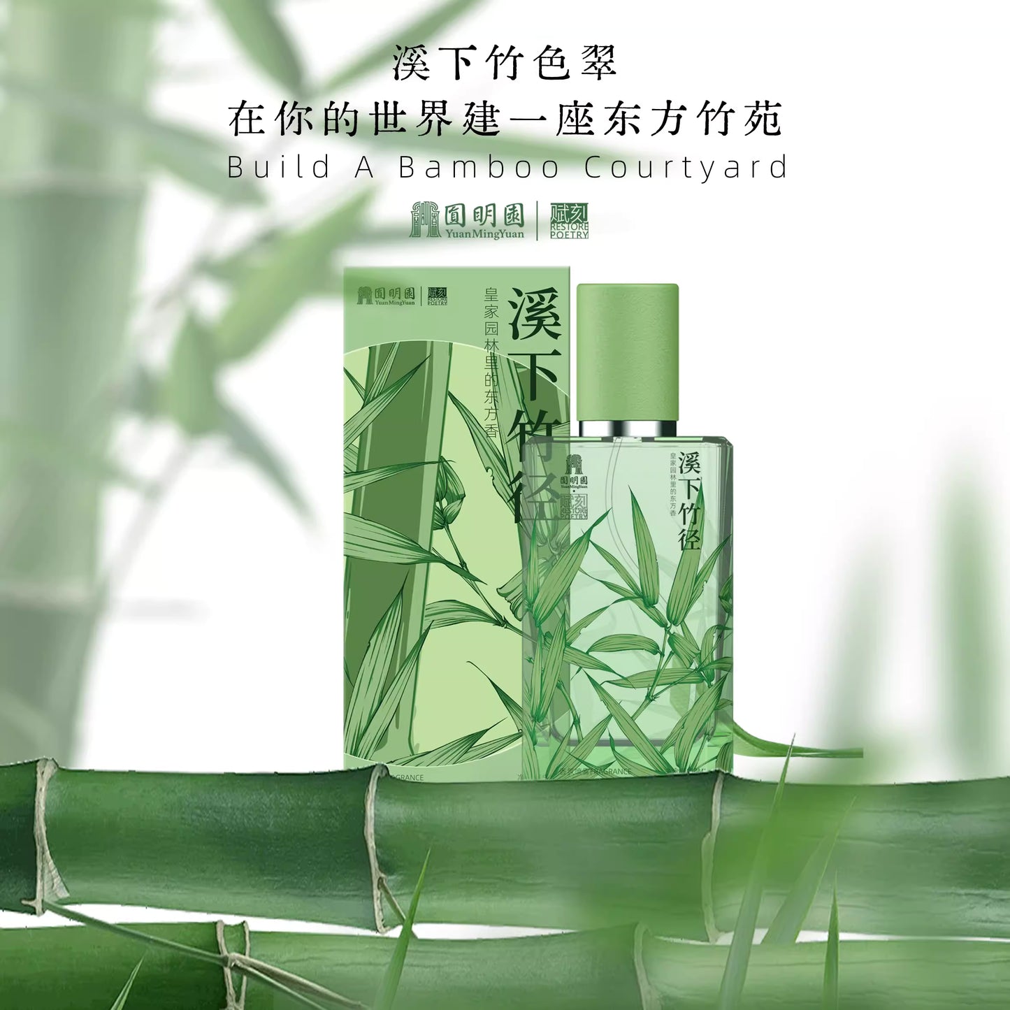 Bamboo Path Under the Stream Mist Spray